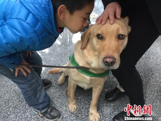 萌狗“战神”圈粉。 郑莹莹 摄 萌狗“战神”圈粉。 郑莹莹 摄