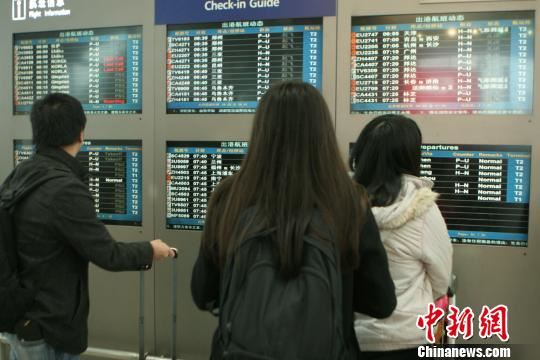图为旅客查看航班信息。 吕俊明 摄 图为旅客查看航班信息。 吕俊明 摄