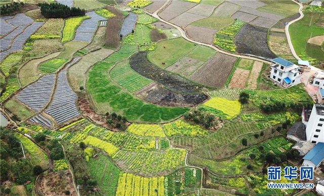 （空中之眼）（4）春来田园美如画