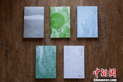 沈浩波近期策划出版的诗集。 点击进入下一页