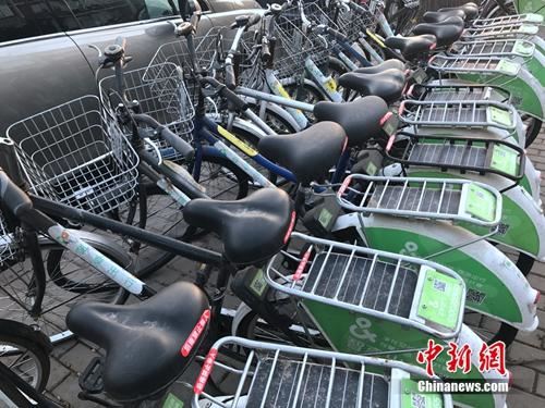 北京路边一排共享单车长期无人使用,车座落满灰尘。<a href= 北京路边一排共享单车长期无人使用,车座落满灰尘。<a target='_blank' href='http://www.chinanews.com/' ></p>中新网 吴涛 摄