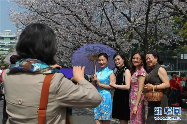 (环境)(5)上海:校园樱花盛放