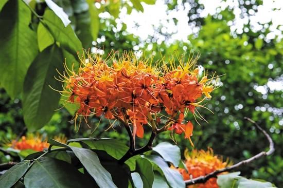 15410983408495949_56.jpg 15410983408495949_56.jpg