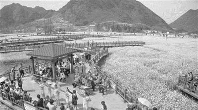 09462197866484855_56.jpg 09462197866484855_56.jpg