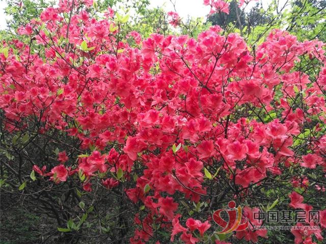 14155379107529218_75.jpg 14155379107529218_75.jpg