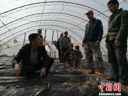 15324469117371752_56.jpg 15324469117371752_56.jpg