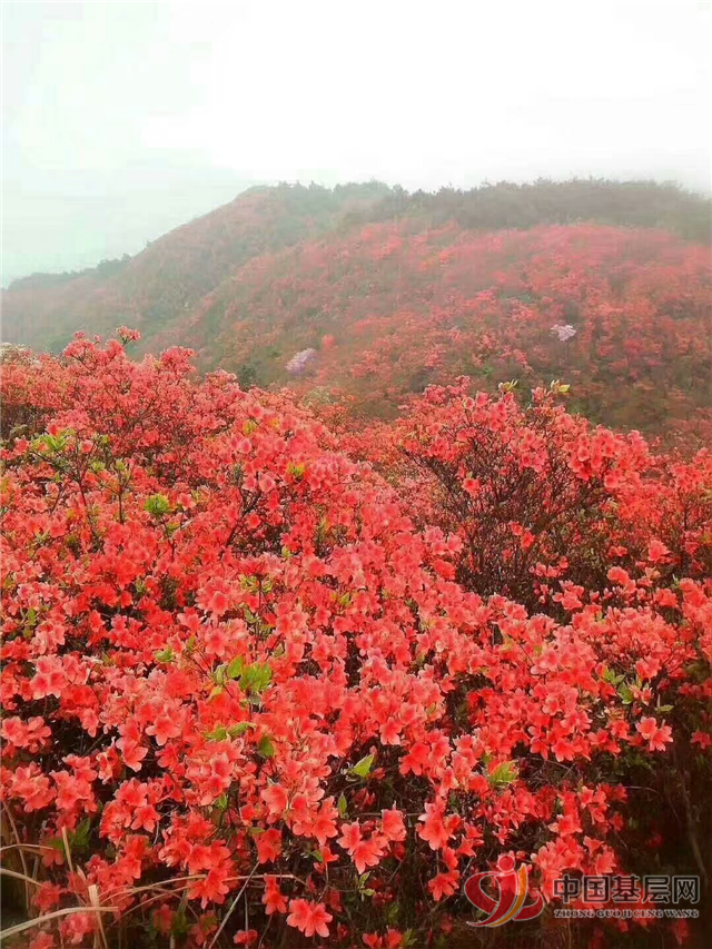 17004820204999557_72.png 17004820204999557_72.png