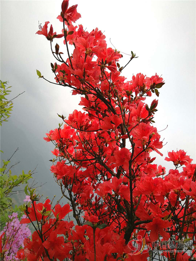 17011784208136431_72.png 17011784208136431_72.png