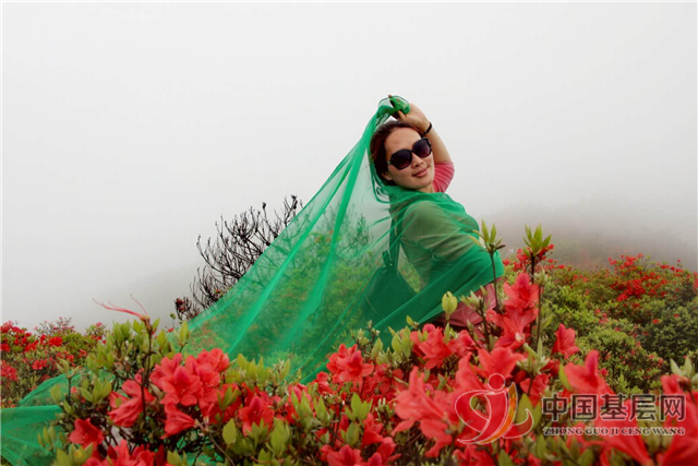 1705000332882329_72.png 1705000332882329_72.png