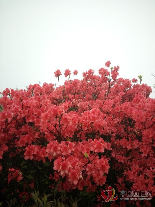 17304880392549737_72.jpg 17304880392549737_72.jpg