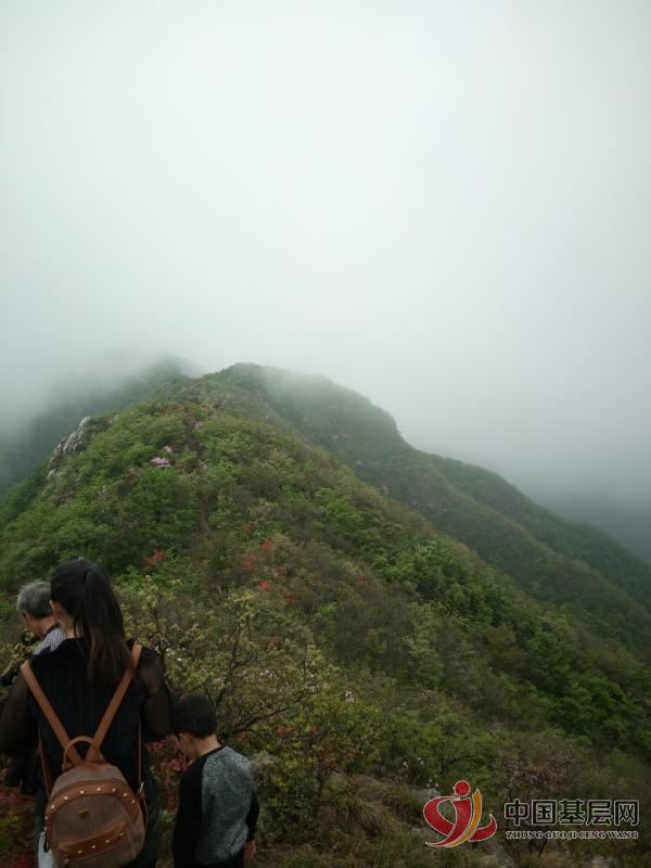 17313741361604510_72.jpg 17313741361604510_72.jpg