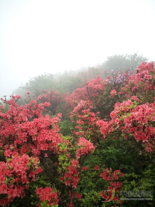 17315884819738412_72.jpg 17315884819738412_72.jpg