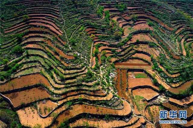 (美丽中国)(2)冀南梯田美如画