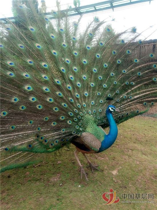 21005250761672853_61.jpg 21005250761672853_61.jpg