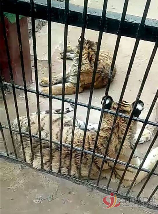 21011004213727443_61.jpg 21011004213727443_61.jpg