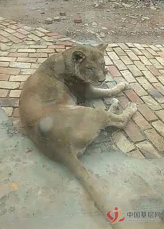 21012420695273197_61.jpg 21012420695273197_61.jpg