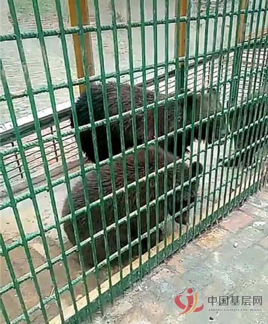 21014080532651100_61.jpg 21014080532651100_61.jpg