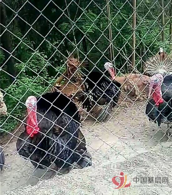 21020085148029581_61.jpg 21020085148029581_61.jpg