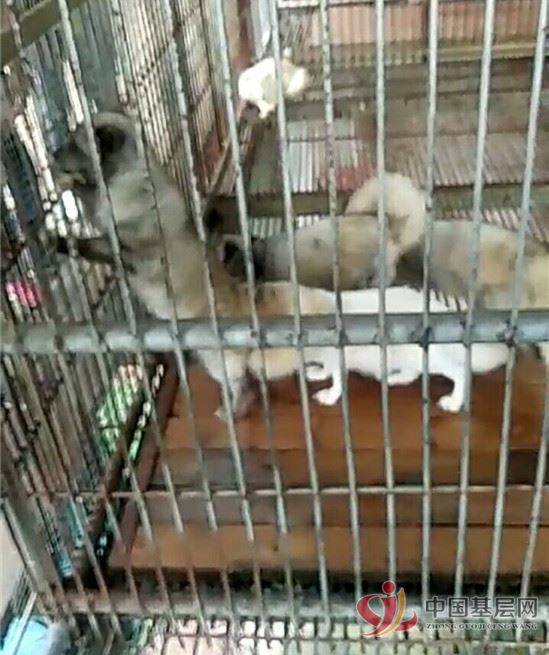 21022584267339850_61.jpg 21022584267339850_61.jpg