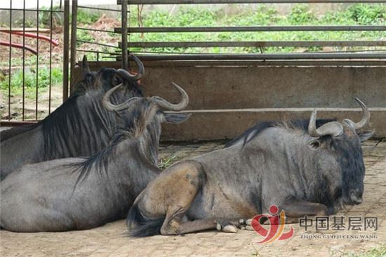 21024256587749395_61.jpg 21024256587749395_61.jpg