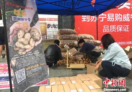 贵州威宁县苏宁电商扶贫实训店员工正在备货。 点击进入下一页