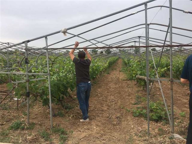 10441909891691470_52.jpg 10441909891691470_52.jpg