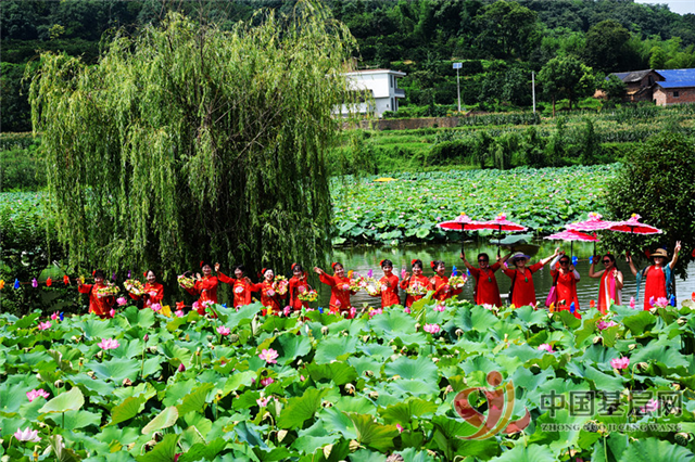 07344192954126923_72.png 07344192954126923_72.png