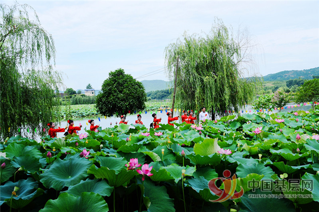 07350420644814165_72.png 07350420644814165_72.png