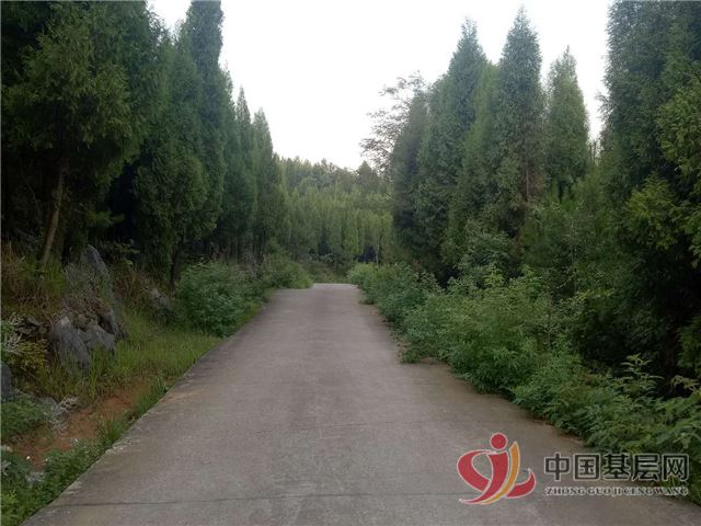 08410278909019060_75.jpg 08410278909019060_75.jpg