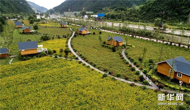 (美丽中国)(3)陕西洛南:鲜花木屋惹人醉