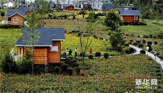 (美丽中国)(2)陕西洛南:鲜花木屋惹人醉