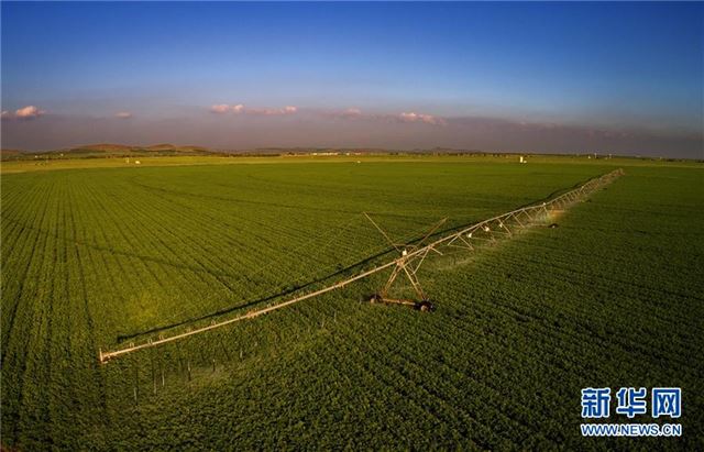 (经济)(1)“水龙”田间洒雨露 节水灌溉润粮川