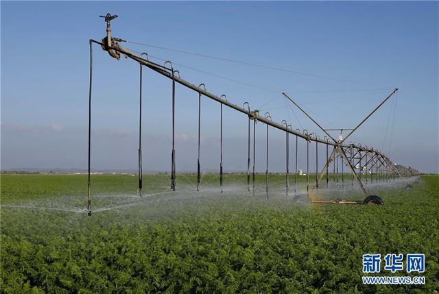 (经济)(2)“水龙”田间洒雨露 节水灌溉润粮川