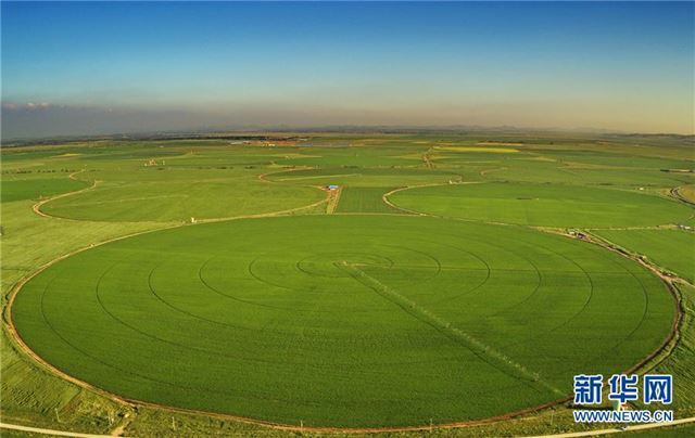 (经济)(4)“水龙”田间洒雨露 节水灌溉润粮川