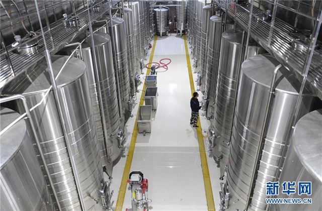 (宁夏60年)(2)葡萄酒产业富民增收