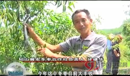 20463759317771683_49.jpg 20463759317771683_49.jpg