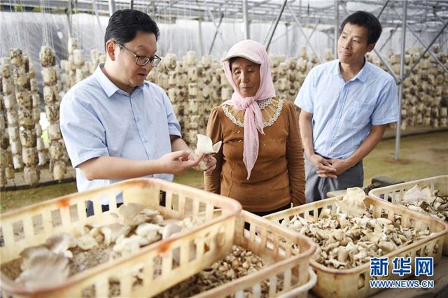 (宁夏60年)(2)宁夏固原:闽宁协作 科技富民