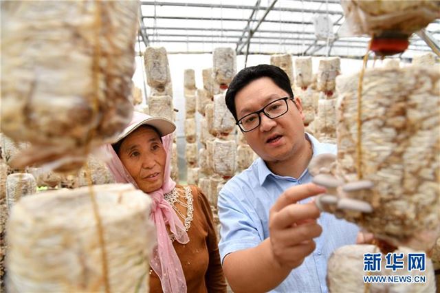 (宁夏60年)(6)宁夏固原:闽宁协作 科技富民