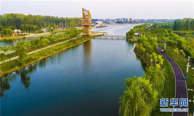 (环境)(3)河北枣强:废弃污水坑塘变身生态公园