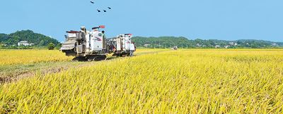 10213572012612740_46.jpg 10213572012612740_46.jpg