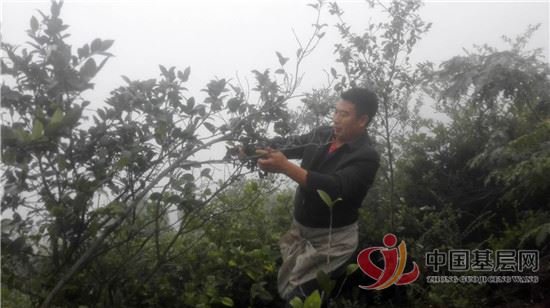 09343769578185779_49.jpg 09343769578185779_49.jpg