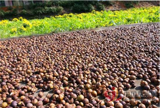 09344853779538343_49.jpg 09344853779538343_49.jpg