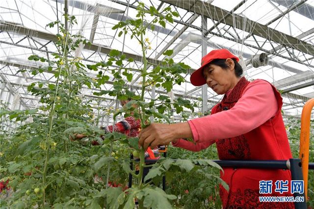 （经济）（1）江西南昌：现代农业助力农民家门口就业