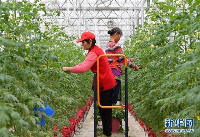 （经济）（2）江西南昌：现代农业助力农民家门口就业