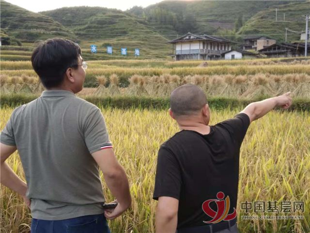 2315528655117011_28.jpg 2315528655117011_28.jpg