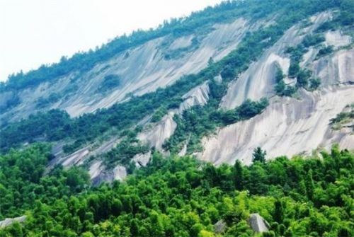 07563784709726532_8.jpg 07563784709726532_8.jpg