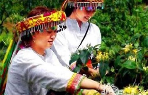 08030200639552711_8.jpg 08030200639552711_8.jpg