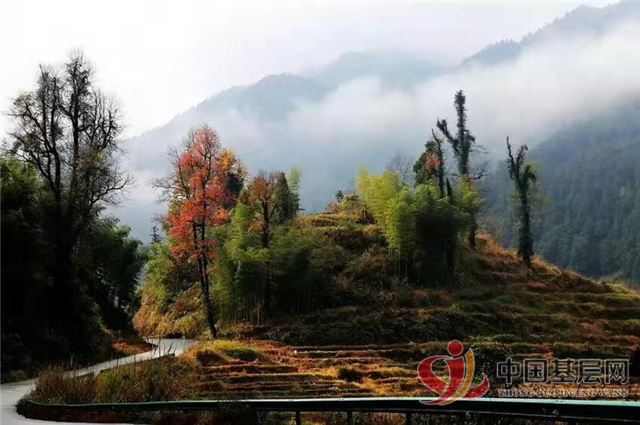 1740116135646109_72.jpg 1740116135646109_72.jpg