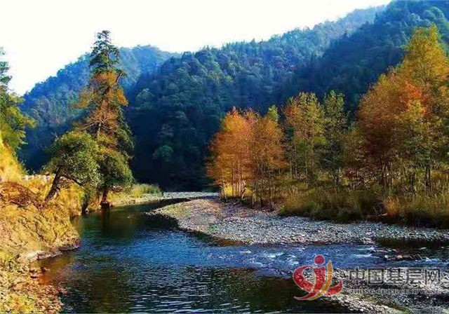 17405760238823850_72.jpg 17405760238823850_72.jpg