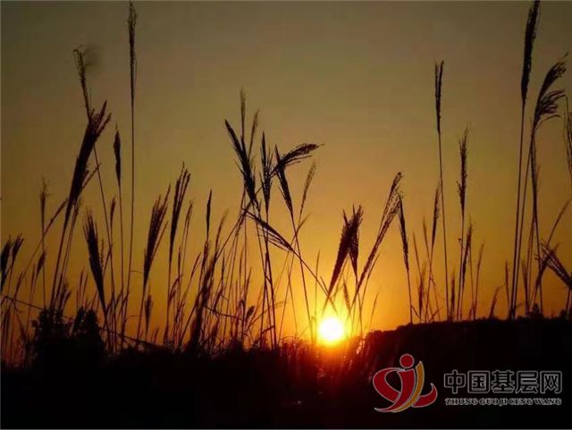 17411473125055919_72.jpg 17411473125055919_72.jpg